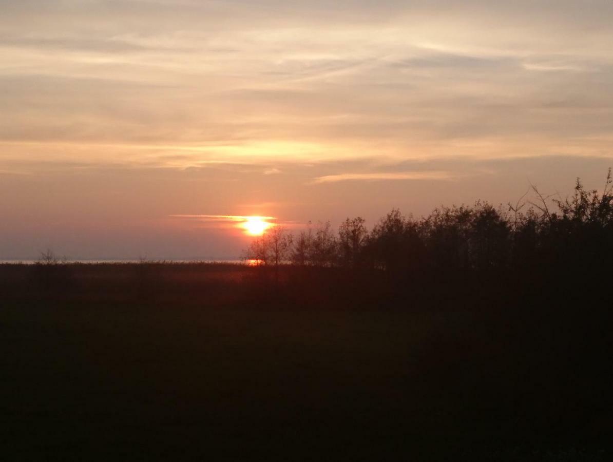 Seepferdchen Zempin